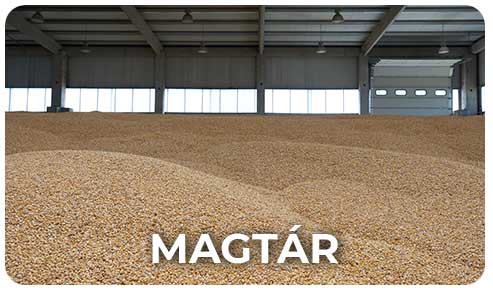 magtár